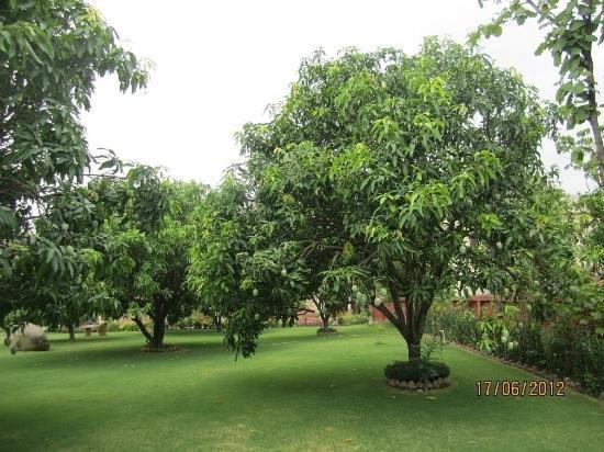 Jim Corbett Resort รามนาการ์ ภายนอก รูปภาพ