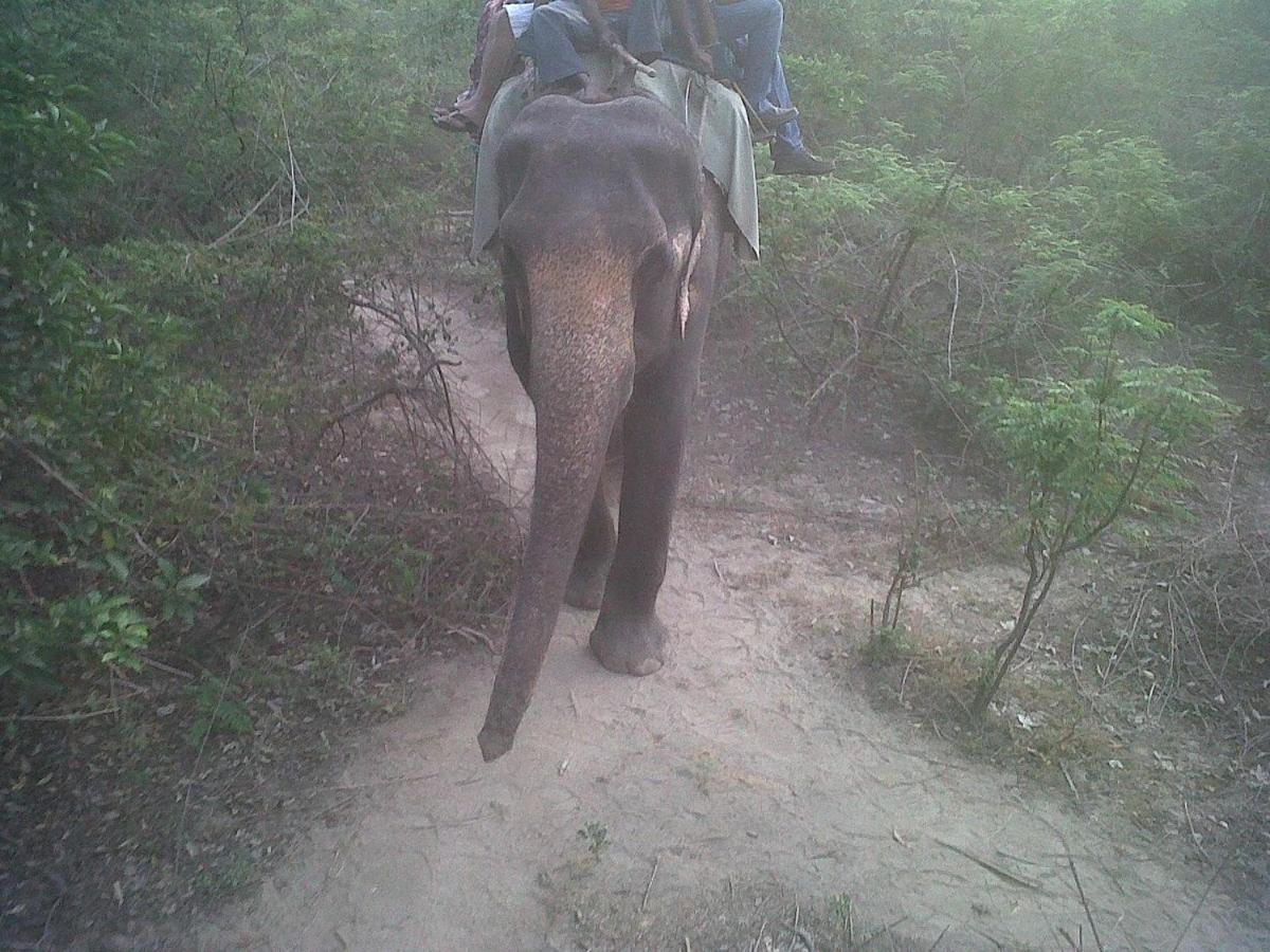 Jim Corbett Resort รามนาการ์ ภายนอก รูปภาพ